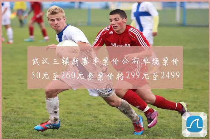 武汉三镇新赛季票价公布单场票价50元至260元套票价格799元至2499元