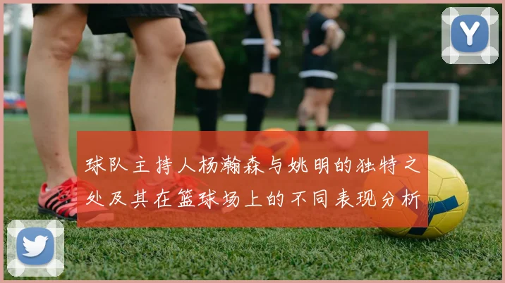 球队主持人杨瀚森与姚明的独特之处及其在篮球场上的不同表现分析